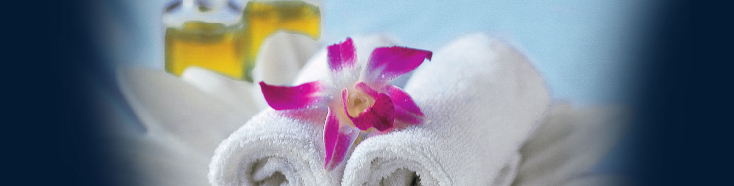 Trident Hotel Spa - Udaipurian